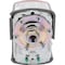 Telemechanique Sensors Pumptrol 30-50 psi Diaphragm Actuated 2 Pole Pressure Switch FSG2J21CP - alternate 3