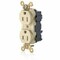 Leviton Straight Blade Receptacle, 5-15R, 15 A, 125V AC, Flush Mount, Self-Grounded M5262-SGI - alternate 1