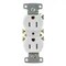 Hubbell Wiring Device-Kellems Straight Blade Receptacle, 5-15R, 15 A, 125V AC, 2 Pole, 3 Wire, Surface Mount, Grounded DR15STTR - alternate 5