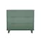 Manhattan Comfort Elara 38 in Solid Wood Dresser in Sage Green (3-Drawer) DR1782-3 - alternate 5