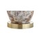 Jonathan Y Jocelyn 28" Seashell LED Table Lamp, Natural JYL4005A - alternate 6