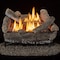 Bluegrass Living Vent Free Dual Fuel Gas Log Set, 18 in Birch Wood, 30,000 BTU, Remote Control B18DR-UL3 - alternate 1