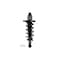 Fcs Struts Suspension Strut And Coil Spring Assembly 1355016L - alternate 1