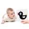 Banana Panda High Contrast Baby Cards, 0-3+ Months 76276 - alternate 6