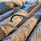Earth Worth 49-Inch Log Peavey and Cant Hook Tool with Wood Handle 83-DT5221 - alternate 11