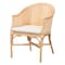 Bali & Pari Hollis Natural Rattan Barrel Dining Chair 262-14441-ZORO - alternate 1