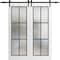 Sartodoors Sturdy Double Barn Door with Frosted Glass Planum 2122 White 36x96 Solid Core Modern Interior PLANUM2122DB-WS-36 x 96 - alternate 1