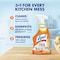 Lysol 22 Oz. Pro Antibacterial Liquid Citrus Kitchen Cleaner 1920079556 - alternate 6