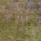 Homeroots 8' X 10' Green Abstract Washable Indoor Outdoor Area Rug 608774 - alternate 8