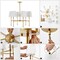 Jonathan Y Cillian 27" 6-Light Mid-Century Modern Iron LED Chandelier, Brass Gold JYL9918A - alternate 9