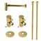 Kingston Brass Plumbing Sink Trim Kit with Bottle Trap, Polished Brass CD53302DLLKB30 - alternate 1