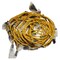 Caterpillar HARNESS AS, CATERPILLAR OEM 2993429 2993429 - alternate 1