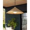 Troy Lighting 1 Light Braxton Pendant Patina Brass F4118-PBR - alternate 4