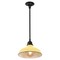 Jonathan Y Jasper 12.25" 1-Light Farmhouse Industrial Indoor/Outdoor Iron LED Pendant, Matte Yellow JYL7611H - alternate 1