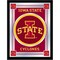 Holland Bar Stool Co Iowa State 17" x 22" Logo Mirror MLogoIowaSt - alternate 1