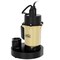 K2 Pumps 1/4 HP Sump Pump with Direct-in Tethered Switch SPA02501TDK - alternate 6