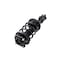 Fcs Struts Suspension Strut And Coil Spring Assembly 1331702R - alternate 5