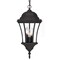 Homeroots Three Light Matte Black Carousel Lantern Hanging Light 397995 - alternate 5