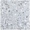 Apollo Tile 24x24 in. Honed Gray Beige Terrazzo Large Format Wall and Floor Tile 7.75 sq ft/case, 2PK APLTRZ88GRSA - alternate 1