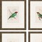Homeroots Set Of Four On Perch II Gold Framed Print Wall Art, 4PK 526914 - alternate 4