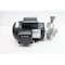 Fti CENTRIFUGAL PUMP 1-1/4IN X 1-1/2IN 1HP 115/208-230V-AC AC5STS1V400B015C12 - alternate 1