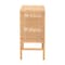 Bali & Pari Vivan Natural Rattan Storage Cabinet, Natural Brown 272-14897-ZORO - alternate 9