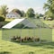 Vevor Metal Chicken Coop 9.8x19.6x6.5 ft Walk-in Chicken Run with Cover Spire Roof JD362 - alternate 7