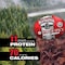 Old Trapper Hot & Spicy Beef Jerky 10 oz Bagged 22512T - alternate 8