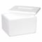 Polar Tech Industries Insulated Bio Foam Shipping Container, Inside 6 inL x 4.5 inW x 3 inD 201F - alternate 2