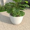 Leisuremod Dahlia Tapered Round Fiberstone & MgO Clay Planter with Cover, Weather-Resistant DP14W - alternate 5