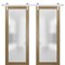Sartodoors Sturdy Double Barn Door with Frosted Glass Planum 2102 56x80 (2* 28x80) Solid Core Modern Interior PLANUM2102DB-S-HA-56 x 80 (2* 28x80) - alternate 1