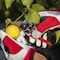 Felco Felco No 14 Ergonomic Small Bypass Hand Pruner 1114 - alternate 4