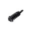 Fcs Struts Suspension Strut And Coil Spring Assembly 1337088R - alternate 5