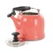 Martha Stewart Everyday Lily Pond 2.2 Quart Stainless Steel Tea Kettle in Coral 137304.01 - alternate 5