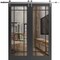 Sartodoors Sturdy Double Barn Door with Clear Glass, Lucia 2266 Matte Black and Aluminum Strips, 13FT Rail Ha LUCIA2266DB-S-BLK-72 x 84 (2* 36x84) - alternate 1