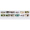 House Of Doolittle Monthly Wall Calendar, Earthscapes, 12 Months, Jan-Dec, 15.5 in x 22 in, Wildlife 373 - alternate 4