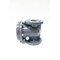 Tvi SWING CHECK VALVE 2IN PVC FLANGED DN050-2 - alternate 1