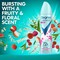 Degree White Flowers and Lychee Antiperspirant Deodorant Dry Spray for Women, 3.8 Ounce, 12PK 69998917 - alternate 8