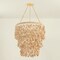 Corbett Lighting Naxos 12 Light Chandelier in Vintage Gold Leaf Finish 552-30-VGL - alternate 3