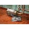 Brady Spill Kit, 36 gal Volume Absorbed per Kit, 30 gal Capacity, Drum SKA30 - alternate 3