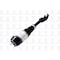 Fcs Struts Non-Electronic Air Suspension Strut Assembly 99060 - alternate 4