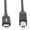 Rocstor USBC TO USB-B CBL 10FT 3M USB Y10C277-B1 - alternate 4