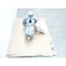 Duriron 2K3X1.5-13/114 110TDH IRON 80GPM CENTRIFUGAL PUMP Supplier Stock No - alternate 6