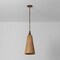 Troy Lighting Kenzo 8.5in wide 1 Light Pendant in Bronze Leaf F2709-BRL - alternate 3
