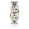 Leviton Dup HG 20A 125V Self-Gr LtAl C8300-T - alternate 1