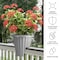 Pure Garden Railing Planter 13.5 in Round Flower Box w/ Drainage Insert 2.64-Gallon Outdoor Planter Box 50-LG1464 - alternate 8