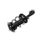 Fcs Struts Suspension Strut And Coil Spring Assembly 1331621R - alternate 4