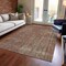 Homeroots 8' X 10' Brown And Beige Medallion Washable Indoor Outdoor Area Rug 616421 - alternate 8