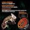 Simple Deluxe 50W Mini Ceramic Heat Emitter Reptile Heat Lamp Bulb No Light Emitting Brooder Coop Heater, Black PTBULBINVISIBLE50S - alternate 5