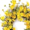 Homeroots 23" Green And Yellow Spring Daisy Artificial Wreath 516072 - alternate 4